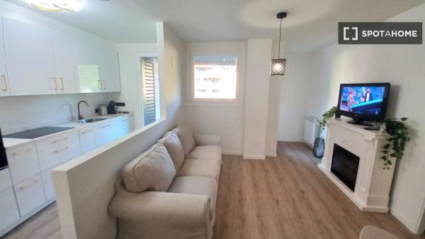 Piso de 2 habitaciones en alquiler en Zestoa