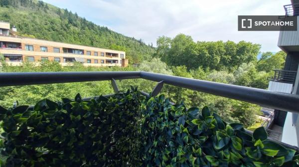 Piso de 2 habitaciones en alquiler en Zestoa