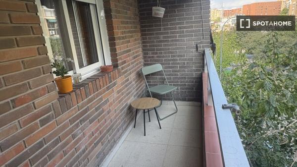 Habitación compartida en alquiler Alicante, Alicante.