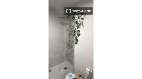 Habitación compartida en alquiler Alicante, Alicante.