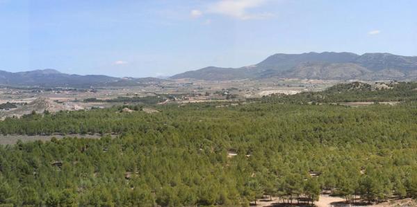 Terreno en calle Yecla