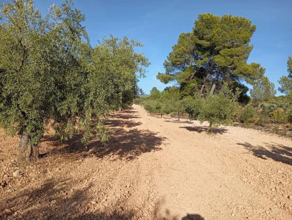 Terreno en Cv-804, 1