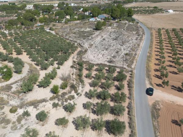 Terreno en Polígono 7 Paraje 69 Las Cavas