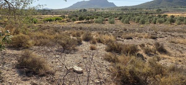 Terreno en pasaje Umbria, 151