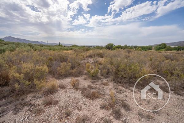 Terreno en Polígono 7 Paraje 69 Las Cavas