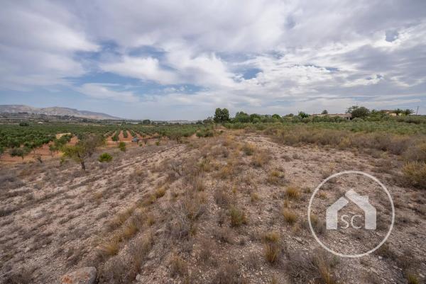 Terreno en Polígono 7 Paraje 69 Las Cavas