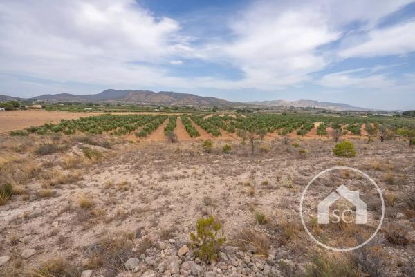 Terreno en Polígono 7 Paraje 69 Las Cavas