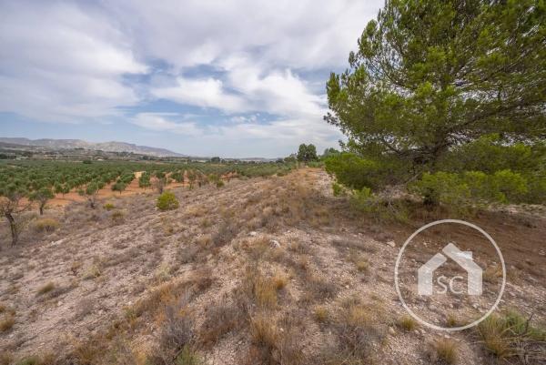 Terreno en Polígono 7 Paraje 69 Las Cavas