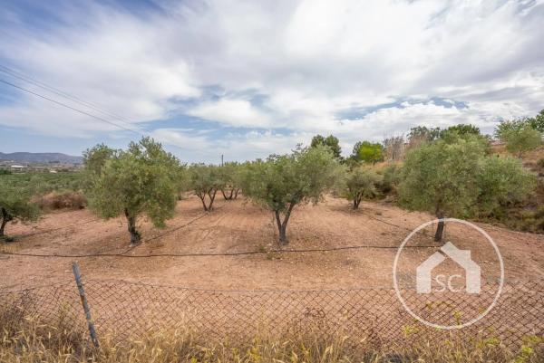 Terreno en Polígono 7 Paraje 69 Las Cavas