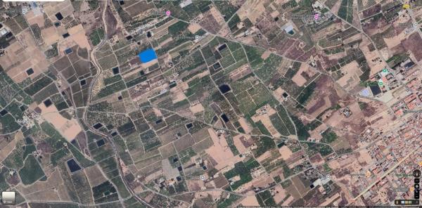 Terreno en Albatera