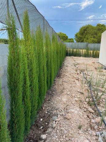 Terreno en Poligono el moco s/n Sn