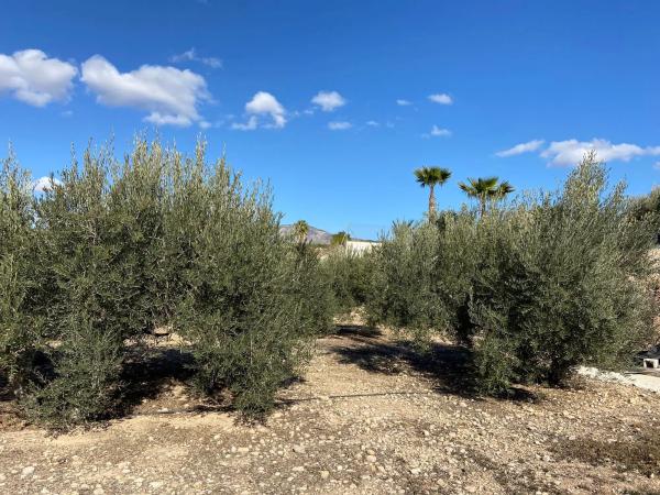 Terreno en Poligono el moco s/n Sn