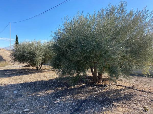 Terreno en Poligono el moco s/n Sn