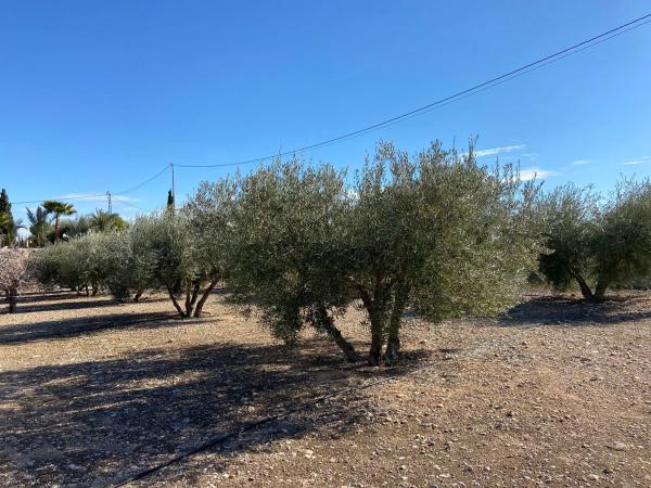 Terreno en Poligono el moco s/n Sn