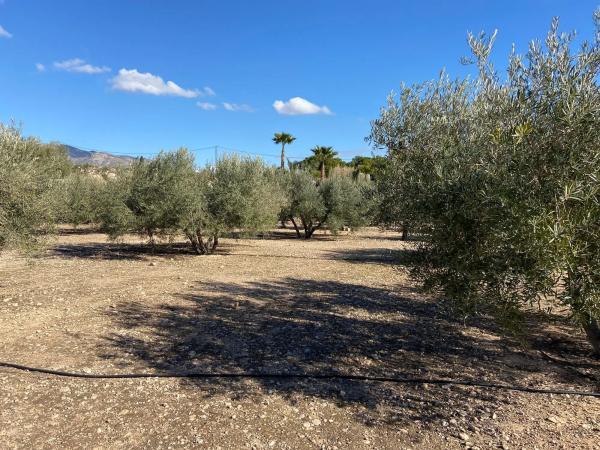 Terreno en Poligono el moco s/n Sn