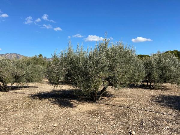 Terreno en Poligono el moco s/n Sn