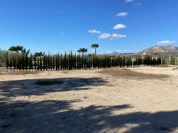 Terreno en Poligono el moco s/n Sn