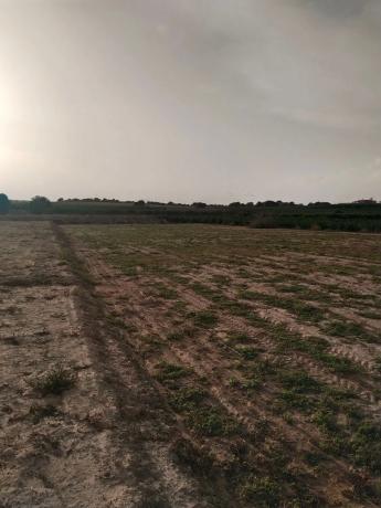 Terreno en ciudad qiedada s/n