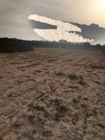 Terreno en ciudad qiedada s/n