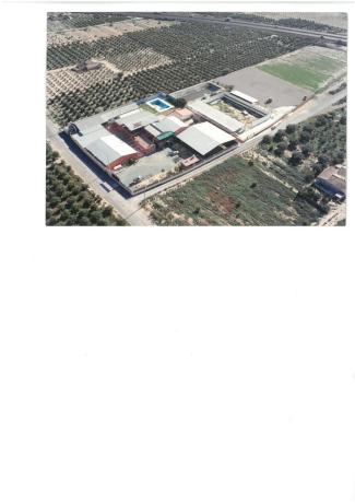 Terreno en Partida Atalayas Gp. 18