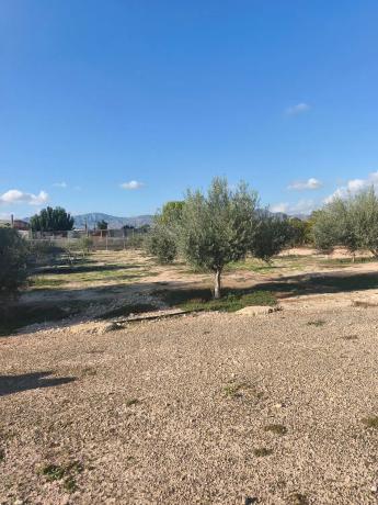 Terreno en Partida Atalayas Gp. 18