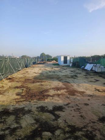 Terreno en calle Rafael Alberti, 1