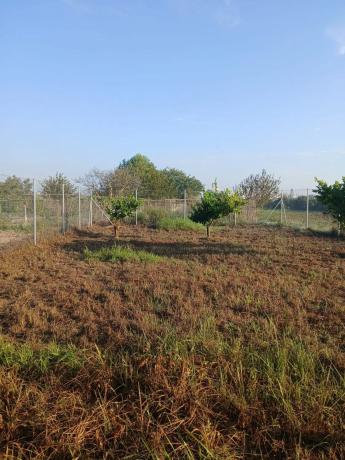 Terreno en calle Rafael Alberti, 1