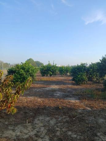 Terreno en calle Rafael Alberti, 1