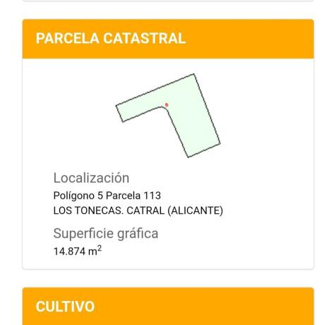 Terreno en camino los Tonecas