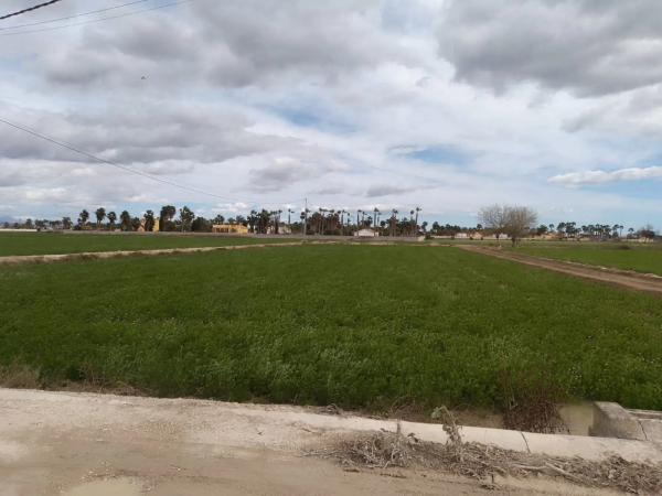 Terreno en camino los Tonecas