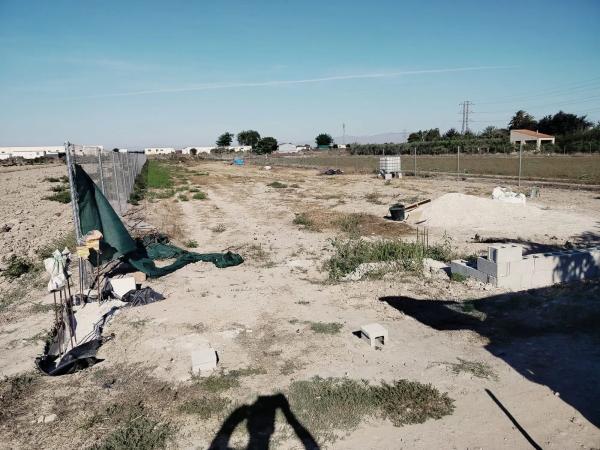 Terreno en carretera San Fulgencio s/n