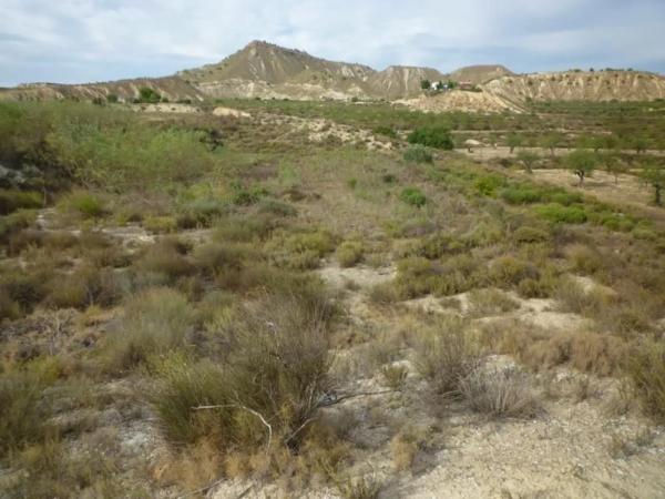 Terreno en Caretera Canteras