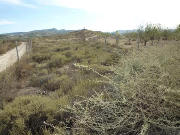 Terreno en Caretera Canteras