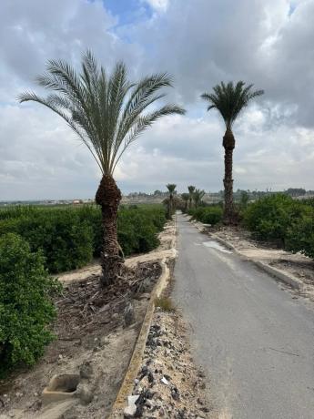 Terreno en Cv-95 s/n