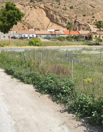 Terreno en travesía 3 Orihuela