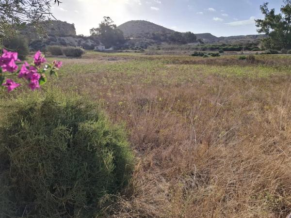 Terreno en Polígono la Bernada
