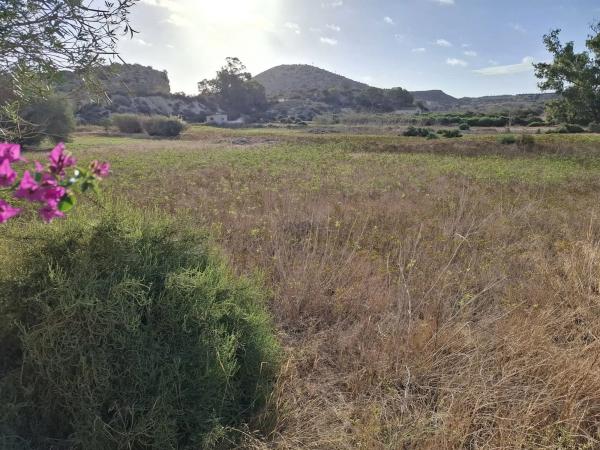 Terreno en Polígono la Bernada