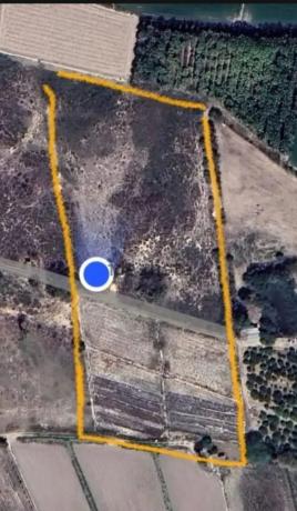 Terreno en Partida lo Pedreño