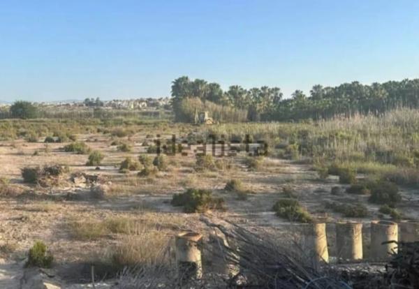 Terreno en Partida lo Pedreño