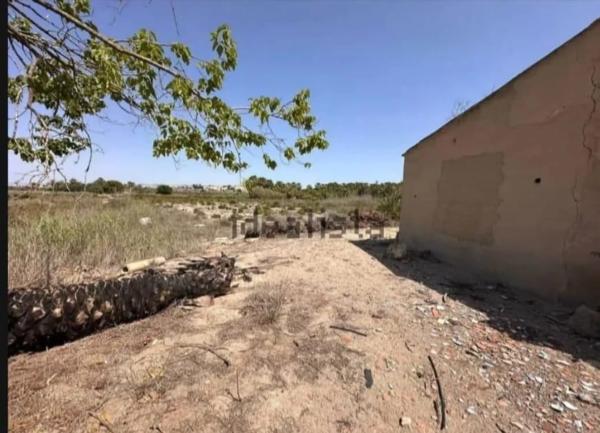 Terreno en Partida lo Pedreño