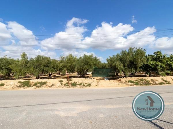 Terreno en via Sense Nom