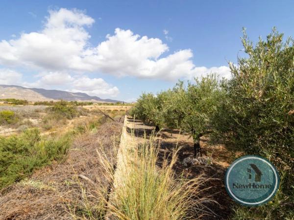 Terreno en via Sense Nom