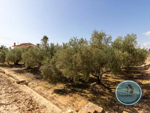 Terreno en via Sense Nom