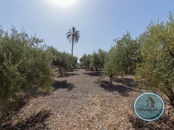 Terreno en via Sense Nom