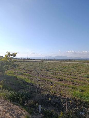 Terreno en La Marina