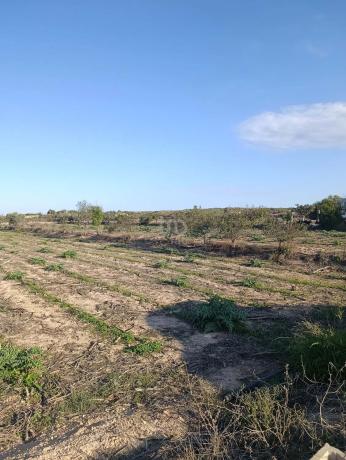 Terreno en La Marina