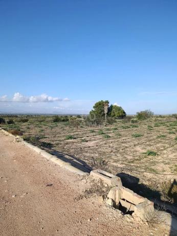 Terreno en La Marina