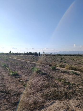 Terreno en La Marina
