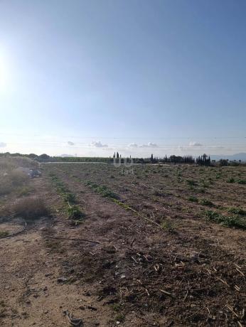Terreno en La Marina
