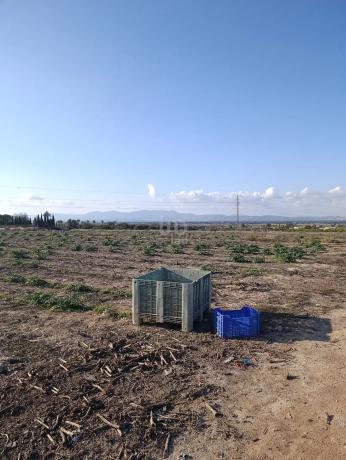 Terreno en La Marina